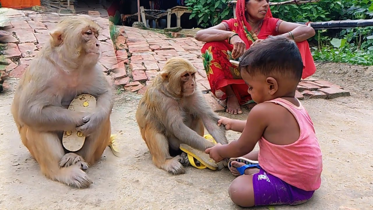 Rani Gao ke bachho ki jaberjast funny video 🤣।। Rani bachho ka saman leke kaise baithi hai 