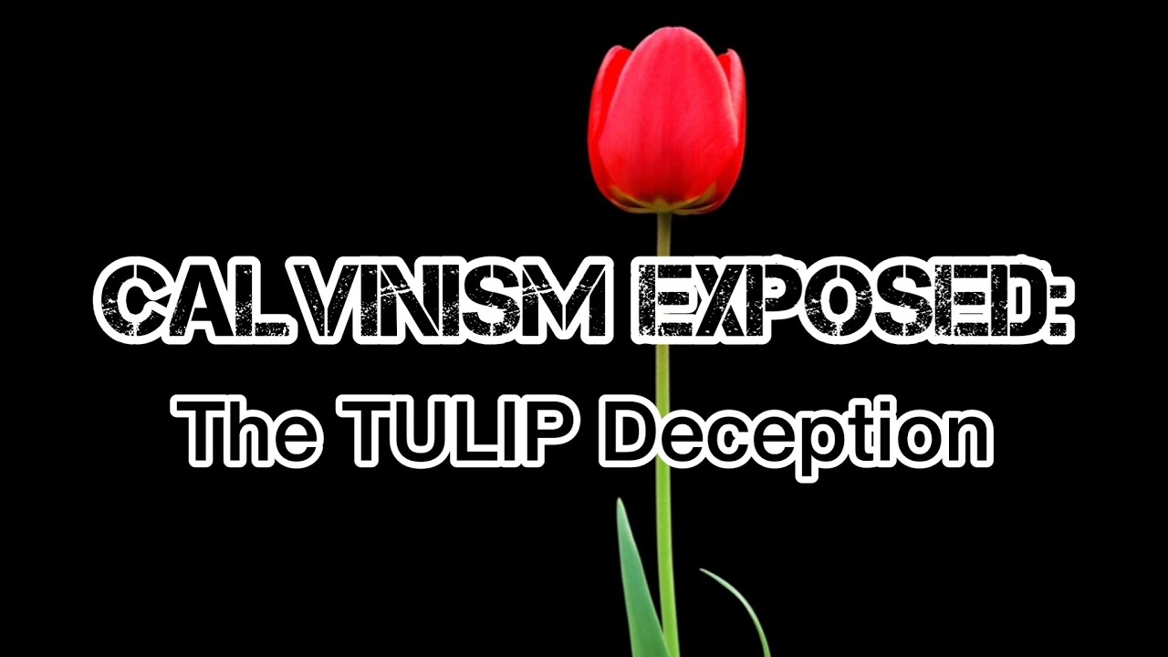 CALVINISM EXPOSED‼️ The TULIP Deception 🔥📖 A MUST-WATCH For ALL Believers!