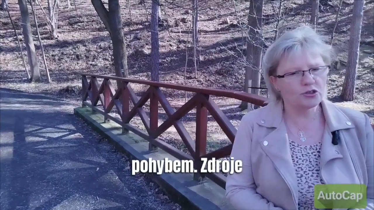 pracovn&iacute; př&iacute;ležitost