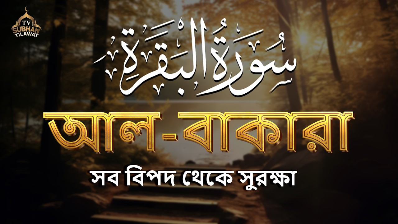 সবচেয়ে হৃদয়স্পর্শী সূরা বাকারা তেলাওয়াত 🌿 কুরআনের আলো ও শান্তির বার্তা | Surah Al Baqarah 💖