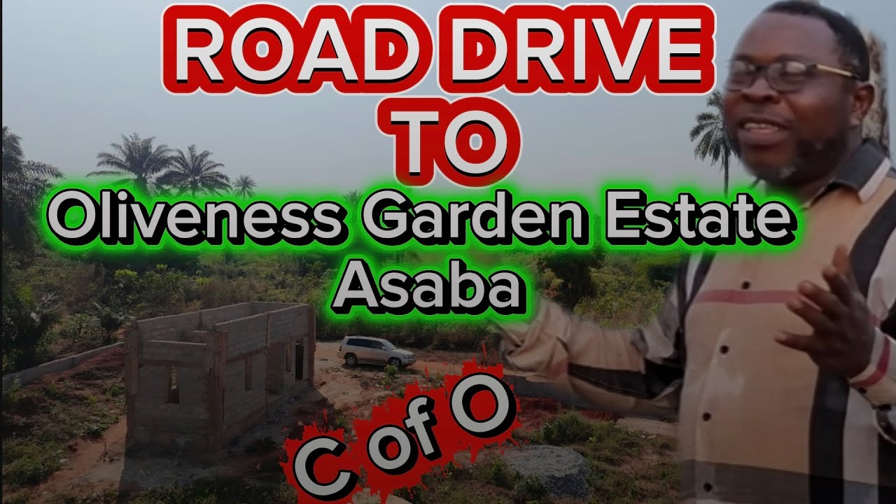 OWN A PIECE OF ASABA FUTURE  | SUBSCRIBE TO OLIVENESS GARDEN ESTATE ASABA  | C OF O LAND | NICE SITE