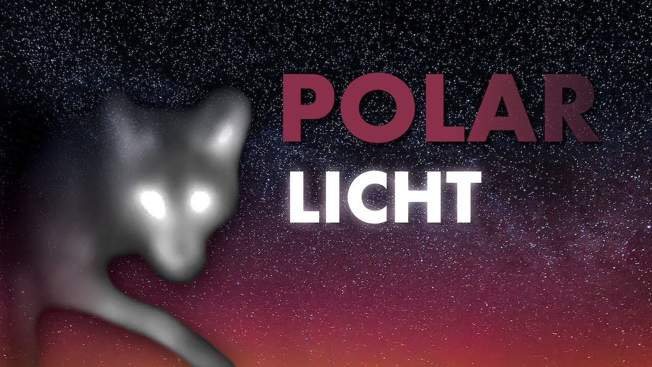 Fuchs trifft Polarlicht - Ein Traum der Naturfotografie