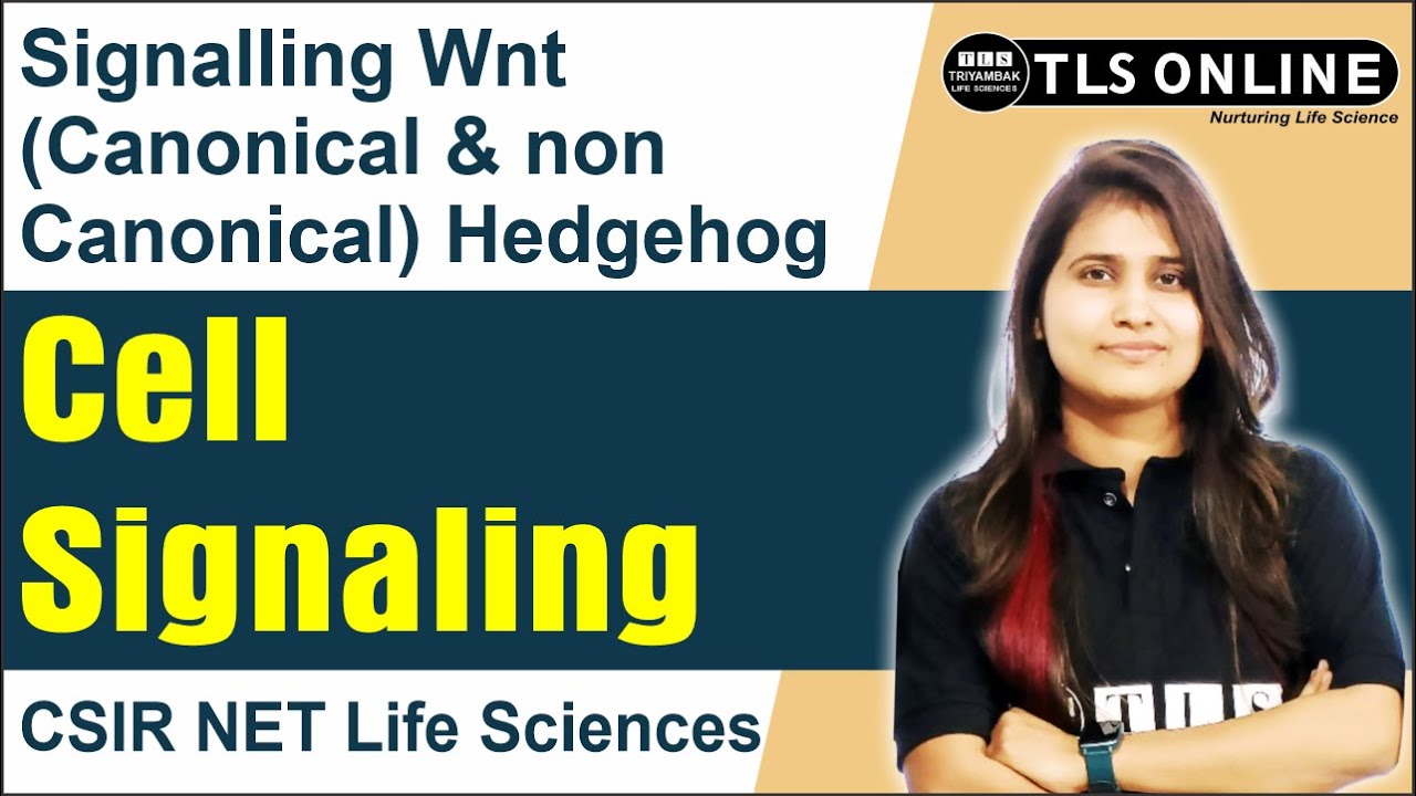 Signalling Wnt (Canonical & non Canonical) Hedgehog | Cell Signaling | CSIR NET Life Sciences |