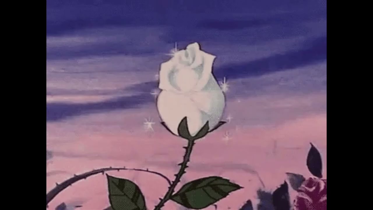Grimes - Rosa [Slowed + Reverbed]