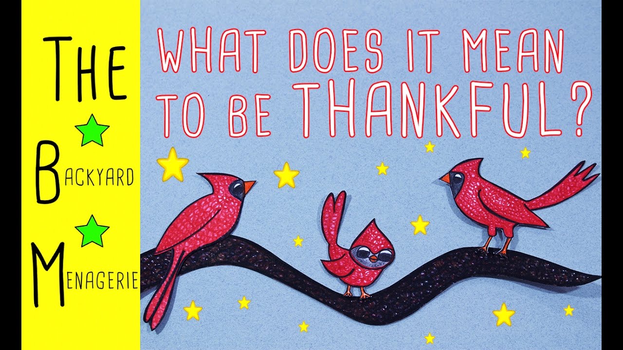 What Does it Mean to Be Thankful? (FOR KIDS!)