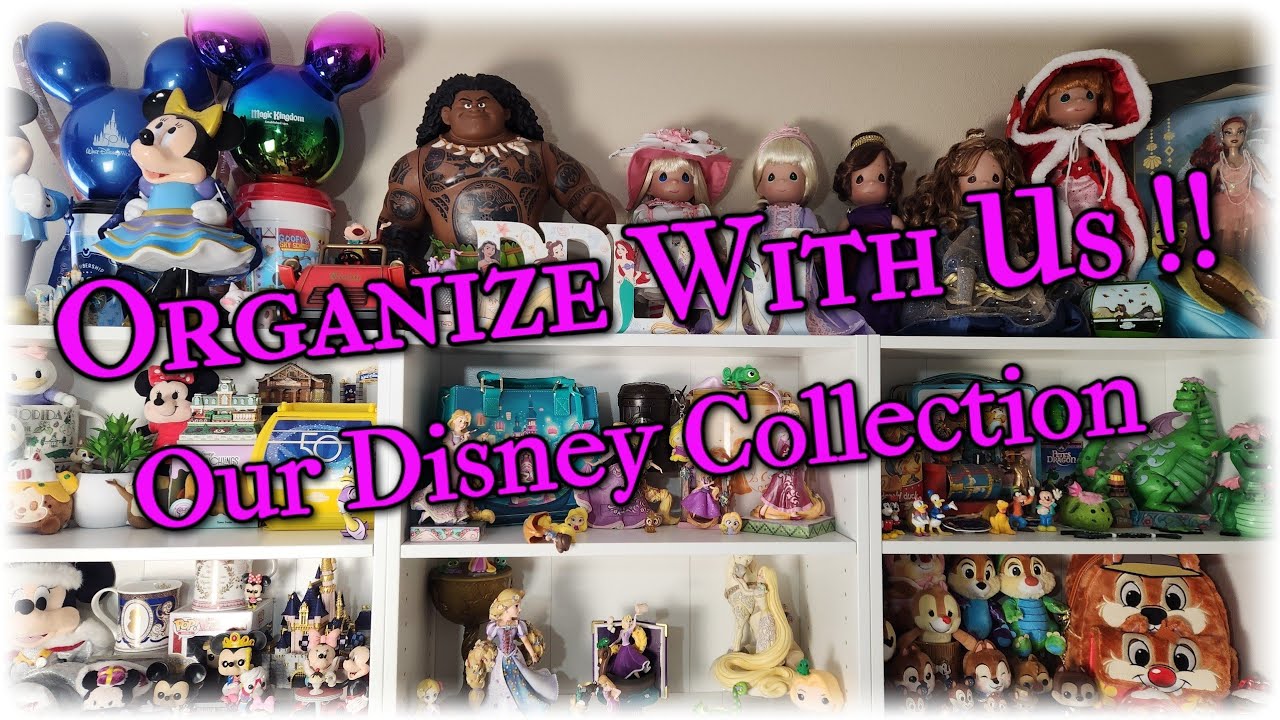 We Organized Our Disney Collection