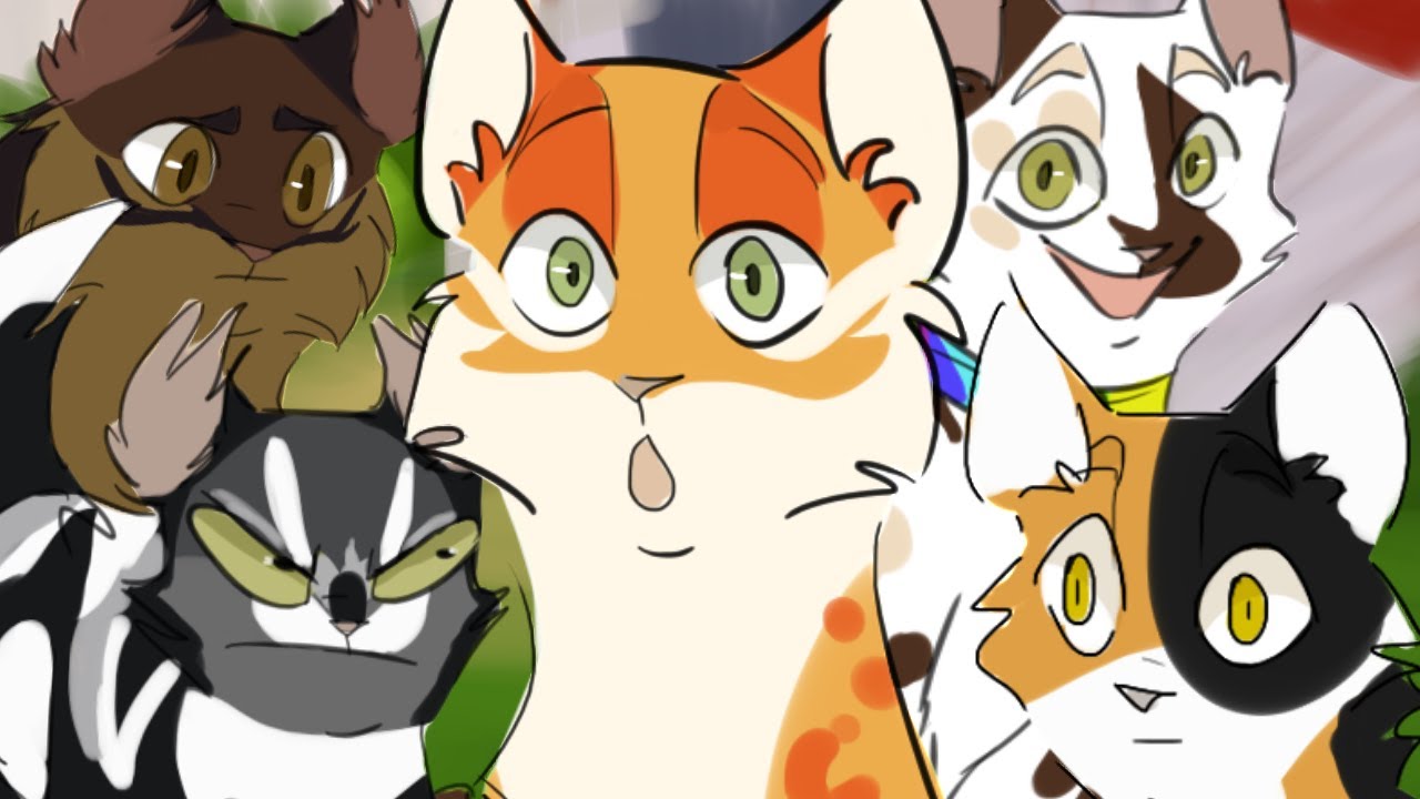 CatWar и о том как живется в семье Вурхиз 2