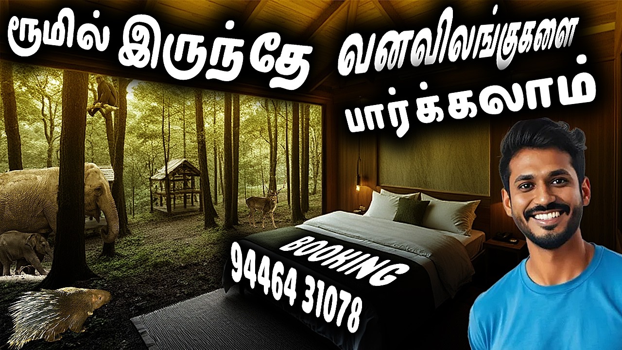 Budget & Animals Spotting Forest Stay in Thekkady | Jungle View Room | Kerala Tourist Places
