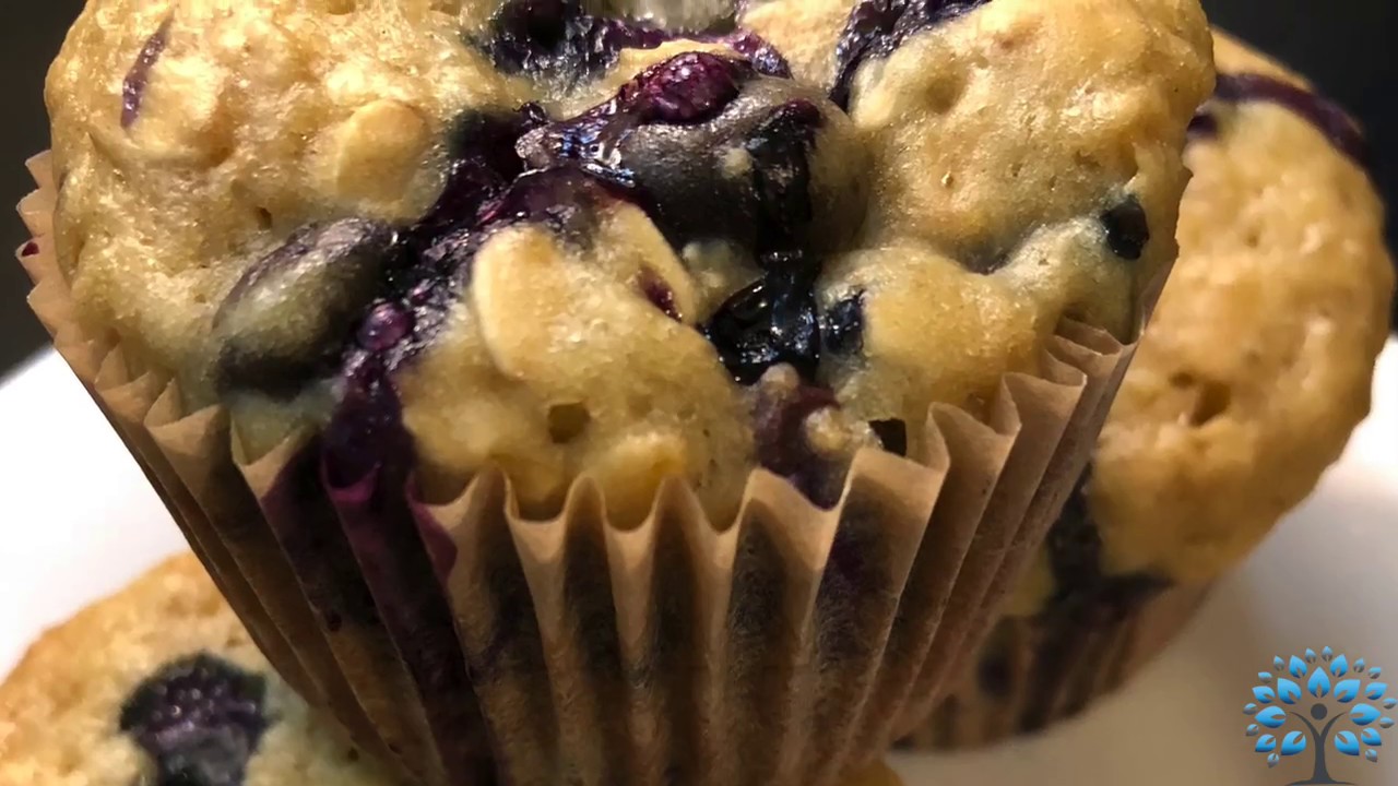 Blueberry Oatmeal Greek Yogurt Muffins by BetterYou
