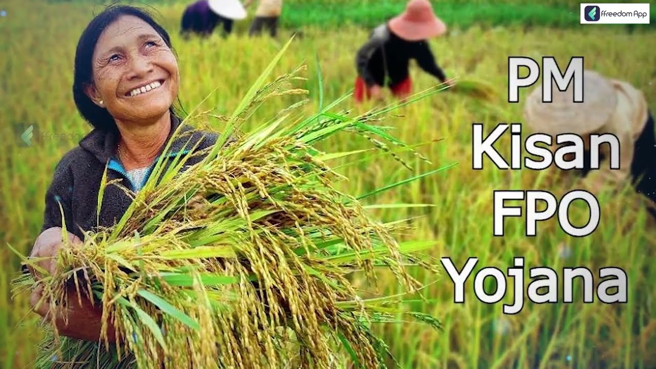 How to Apply for FPO: Hindi | A Complete Guide to the PM Farmer Producer Organization Scheme