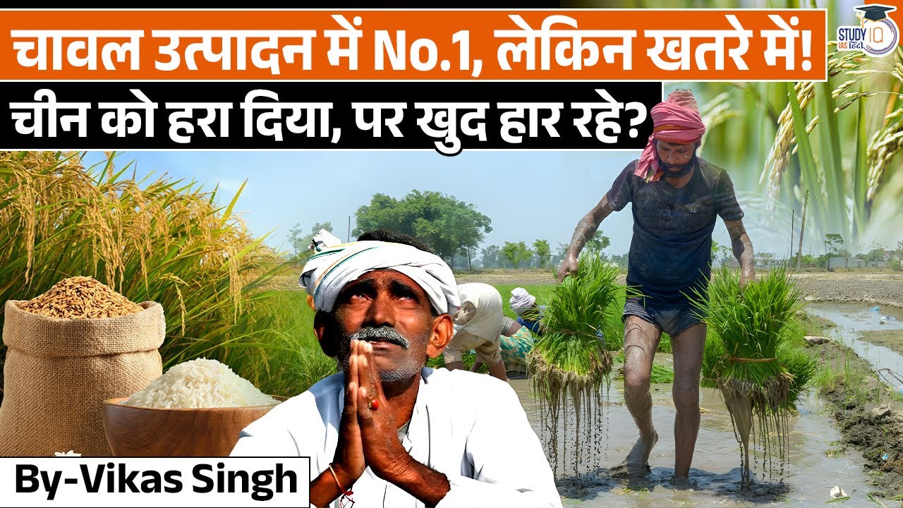 The Hidden Cost of Rice: Why India is Running Dry!|Vikas Singh|StudyIQ IAS Hindi