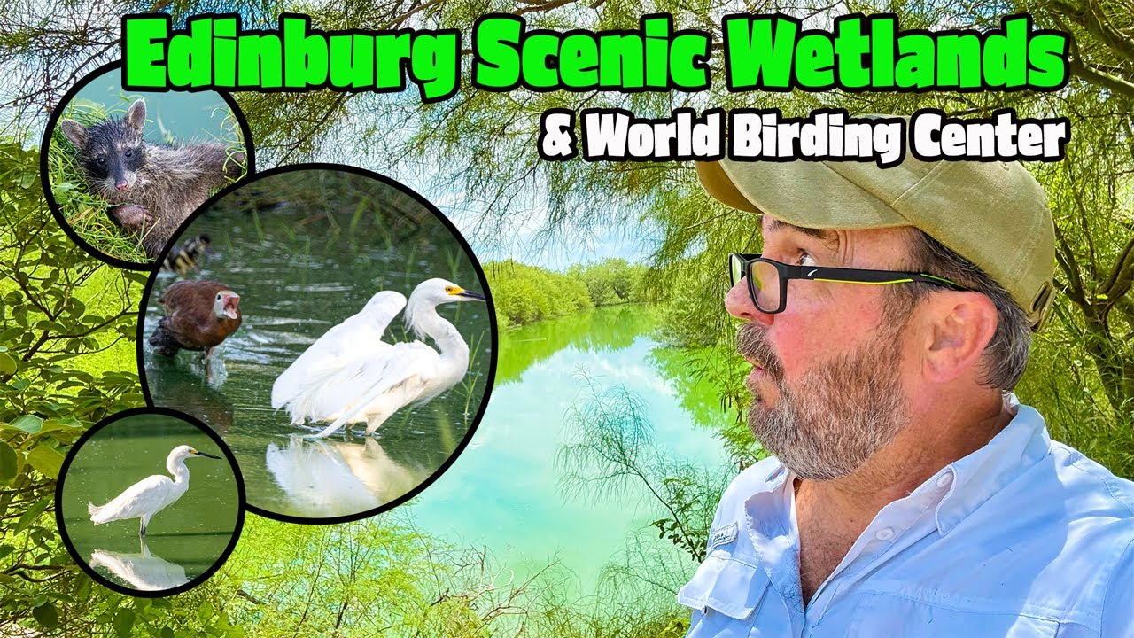 📍 Edinburg Scenic Wetlands & World Birding Center