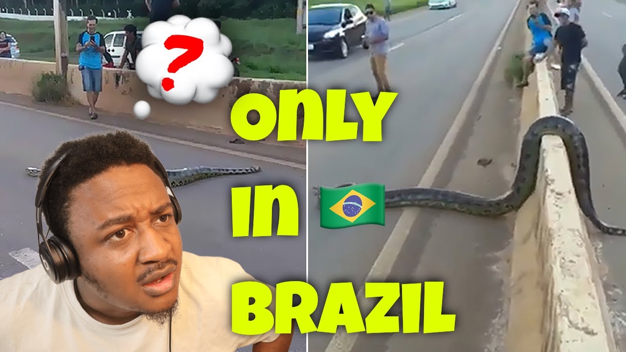15 Unexpected Things You Will Only See In Brazil Reaction