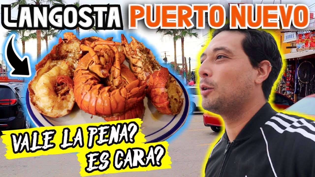 Probamos “La LANGOSTA” de PUERTO NUEVO🦞¿La Mejor del MUNDO?🇲🇽