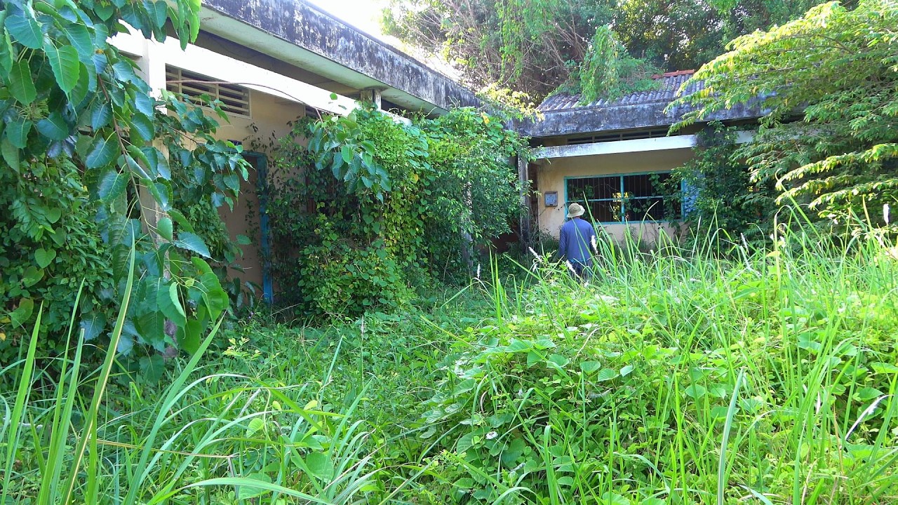 Проехать 250 км, чтобы возродить заброшенную школу, забытую на 30 лет.