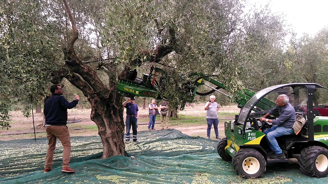 Επίδειξη Αυτοκινούμενου Δονητή Ελιάς 
