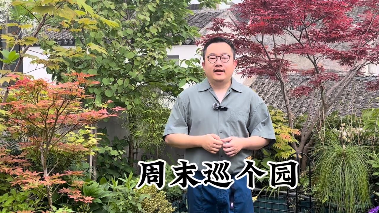 周末巡个园，拍完已经累了