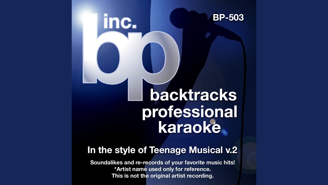 Everyday (Instrumental Track) (In the Style of High School Musical 2)