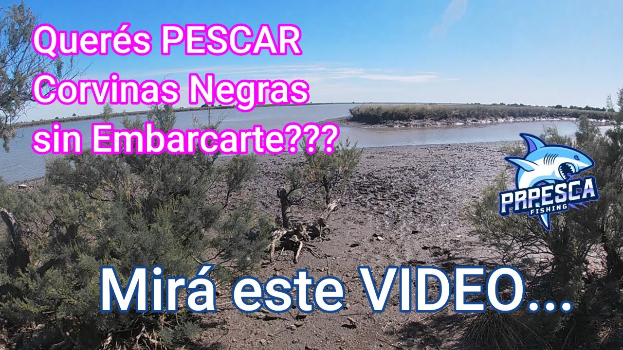 Querés PESCAR Corvinas Negras SIN Embarcarte???? Mirá este Video!!!! @Rodrigo Santana