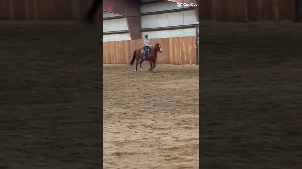 Ignore my posture! My horse doesn&rsquo;t neck rein so I was using a lot of leg and seat 😭