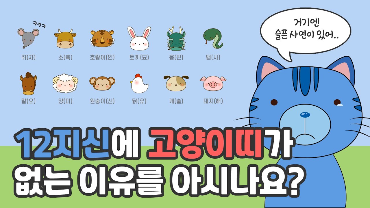 [스토리큐] 12지신에 고양이 띠가 없는 이유는?