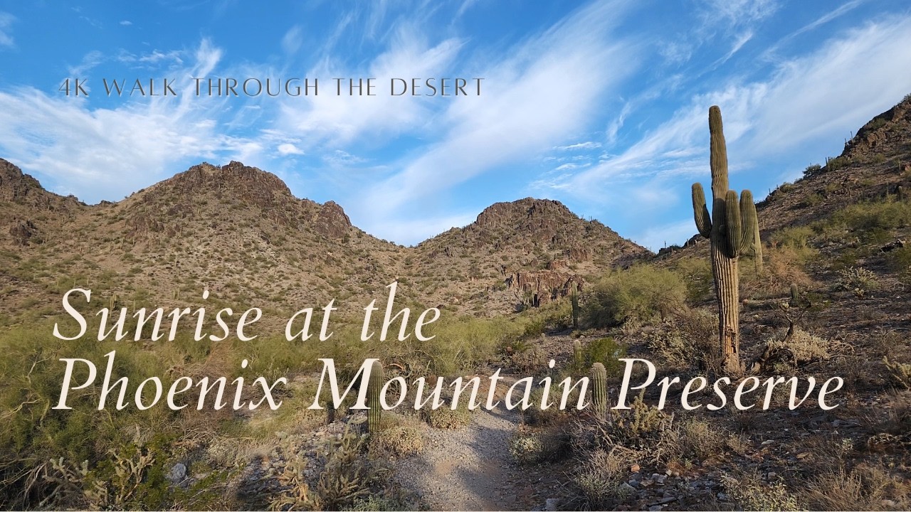Sunrise in the Phoenix Mountain Preserve: 20 minute Sonoran Desert nature walk | 4K 60fps