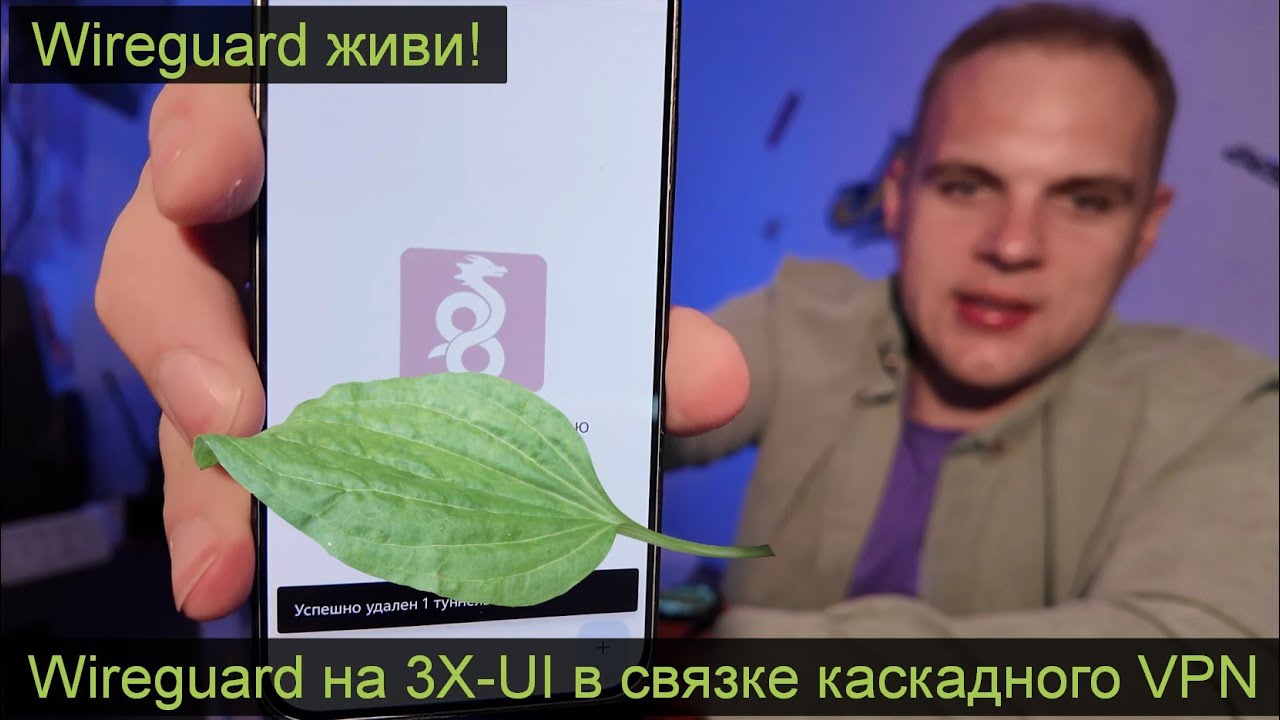 [Каскадный метод 🚀]  Wireguard на 3X-UI в связке каскадного VPN (Wireguard + VLESS)