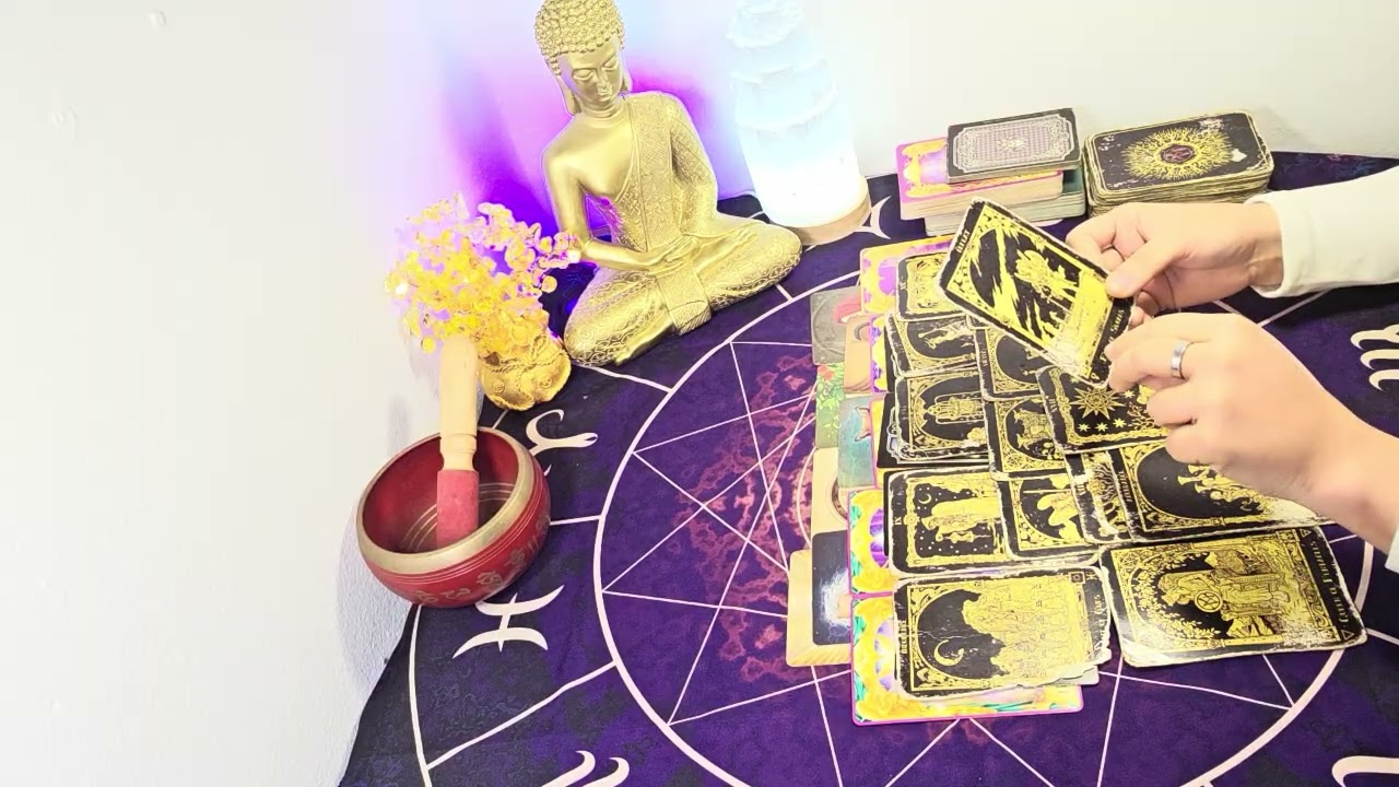 EL KARMA LOS ALCANZO ESTAN DESESPERADOS POR VOLVER A TU VIDA QUIEREN SABER TODO DE TI