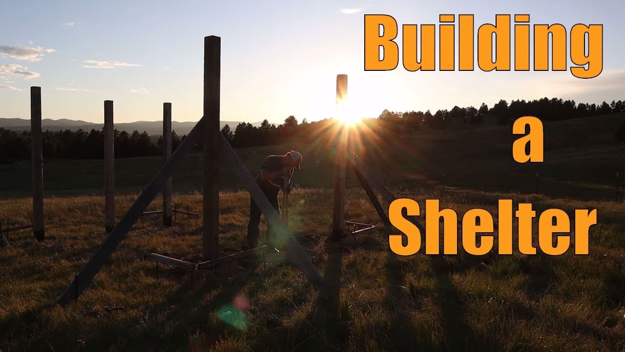 DIY Treated Timbers for Shelter Build