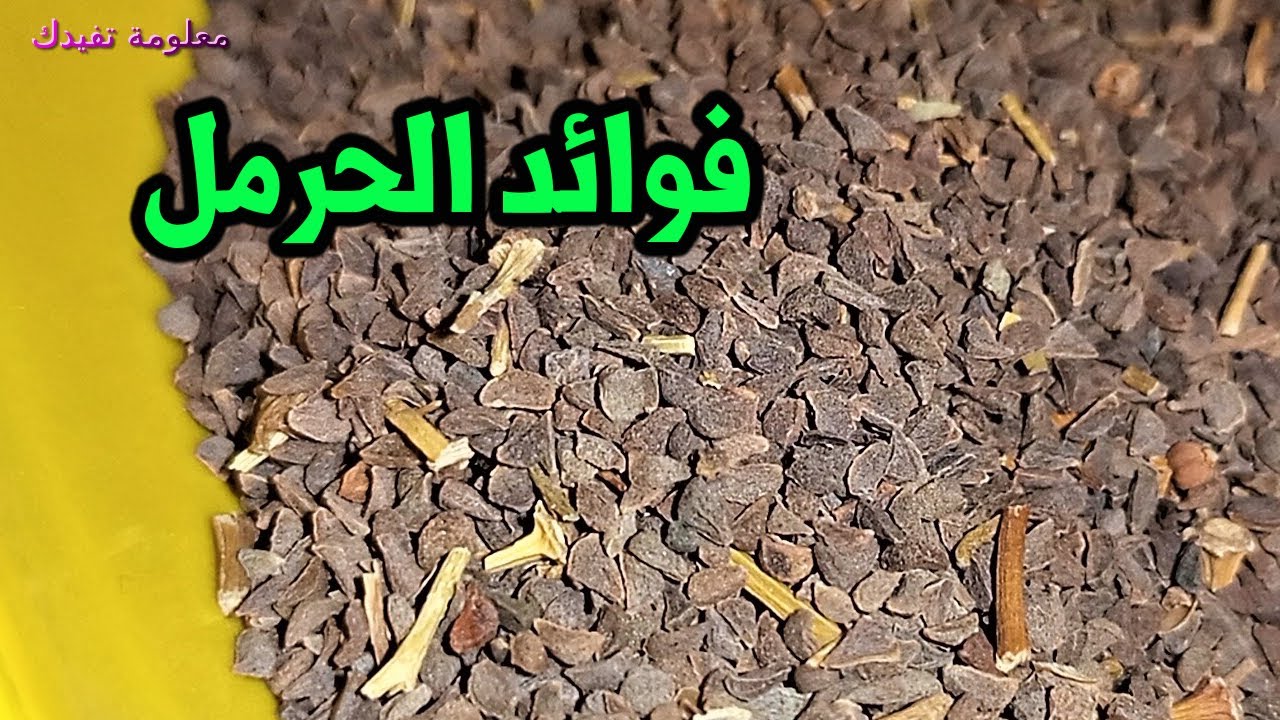 ماهى الامراض التى يعالجها الحرمل 12 فائدة صحية فى الحرمل للجسم ؟؟