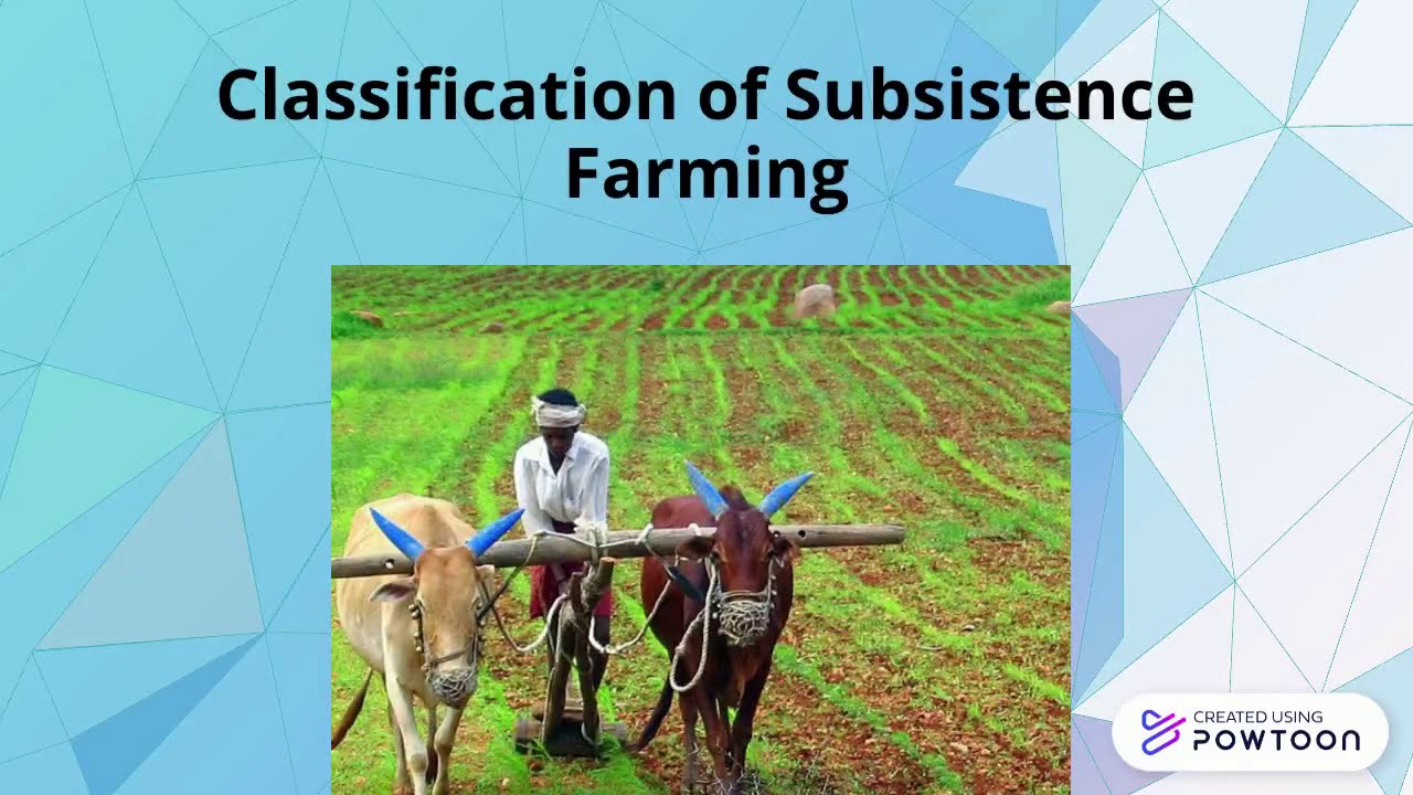 Types of Farming | Subsistence | Intensive | Primitive | Chapter 5 Agiculture | Class 8 NCERT | Mk7