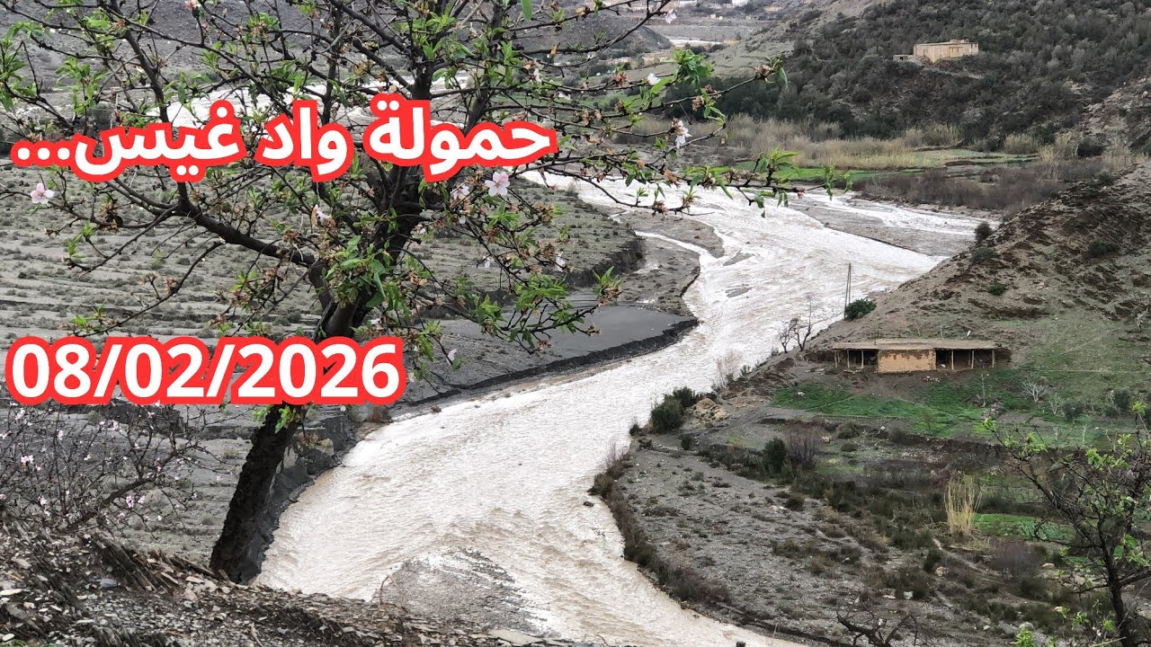 حمولة واد غيس والأجواء بعد تساقط الأمطار في مزرعة 08/02/2026 #نواحي_الحسيمة