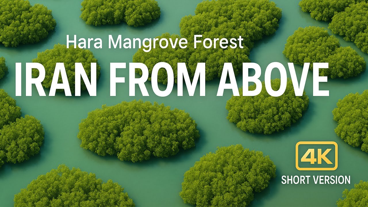 Hara Mangrove Forest, Iran &mdash; 4K Drone Film (Relaxing Nature Music)