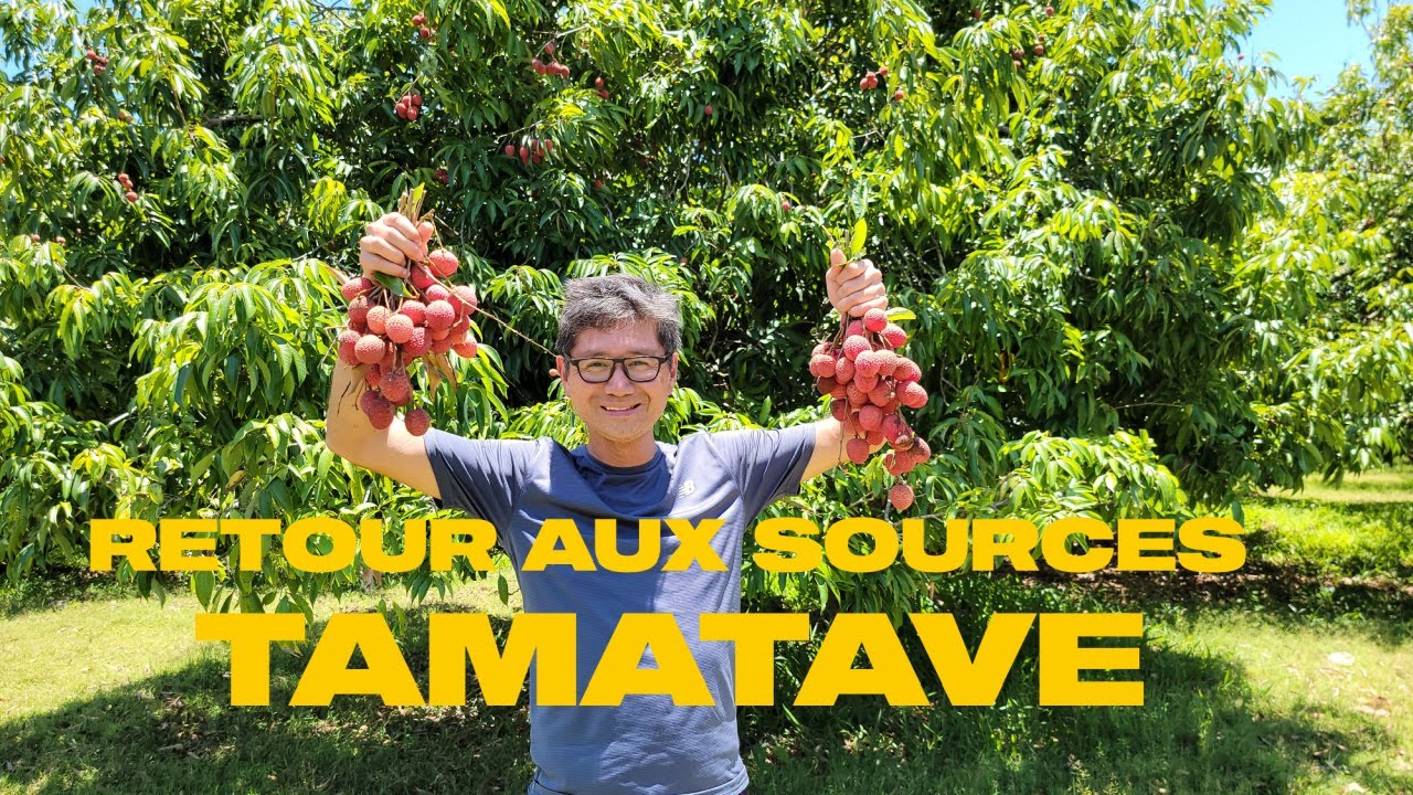 Une journée typique de bouffes à Tamatave, Madagascar - 4K