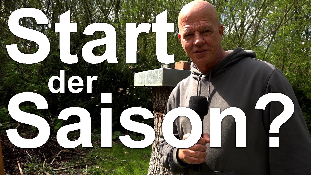 8. Mai: Starke V&ouml;lker in Segeberger Beute - Mit Vollgas in die Bienen-Saison?