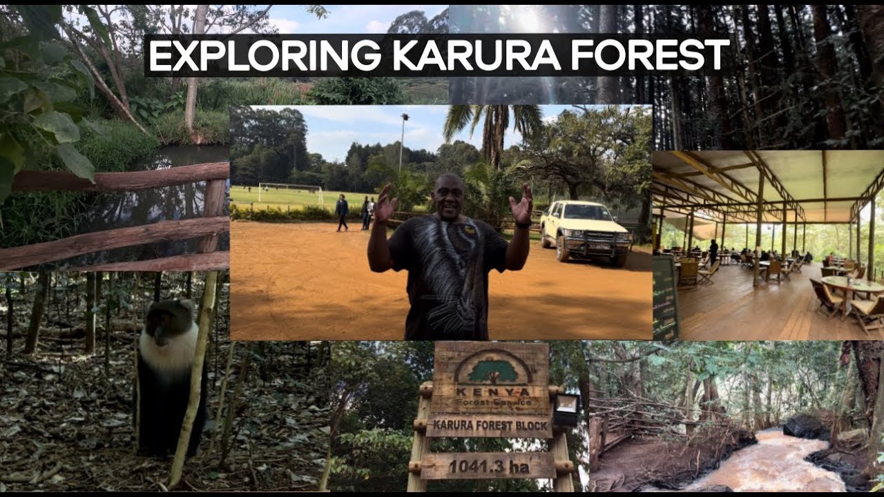 🍃 EXPLORING *KARURA FOREST* Nairobi 🇰🇪