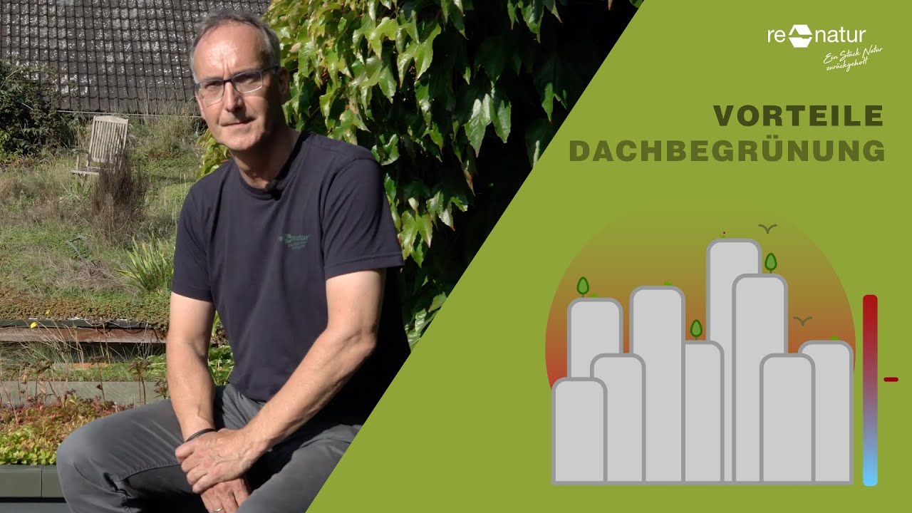 Dachbegrünungen sind teuer! Und trotzdem preiswerter als ein unbegrüntes Dach.
