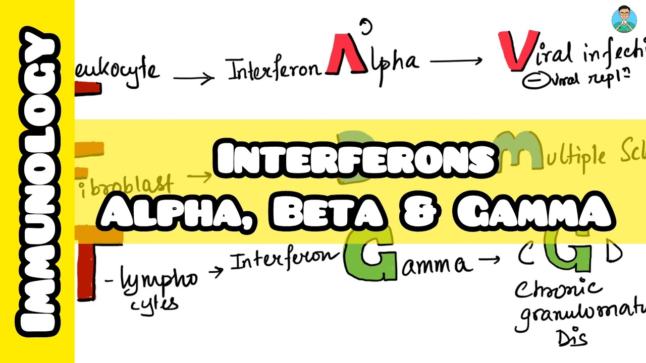 Interferons: INF Alpha, INF Beta, INF Gamma for #inicet #usmle #neetpg #firstaidusmle #immunology