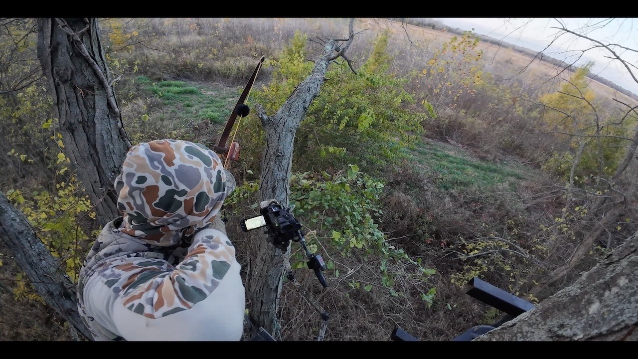 The Surprise Buck - Wild Ending