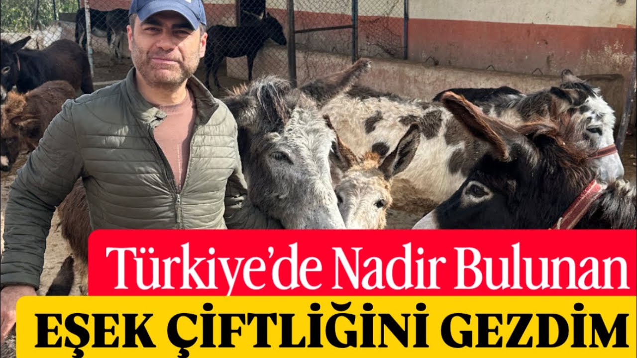 22 Şubat 2026