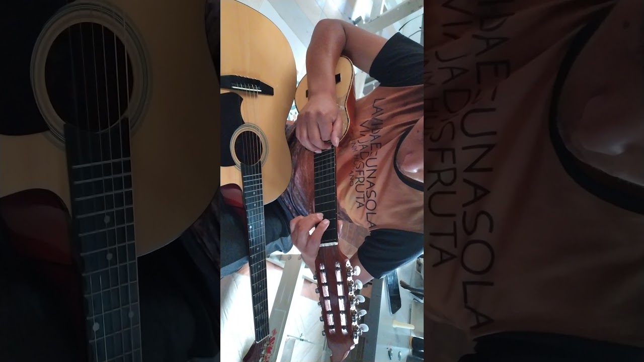 Ausencia Charijayac | Charango 01