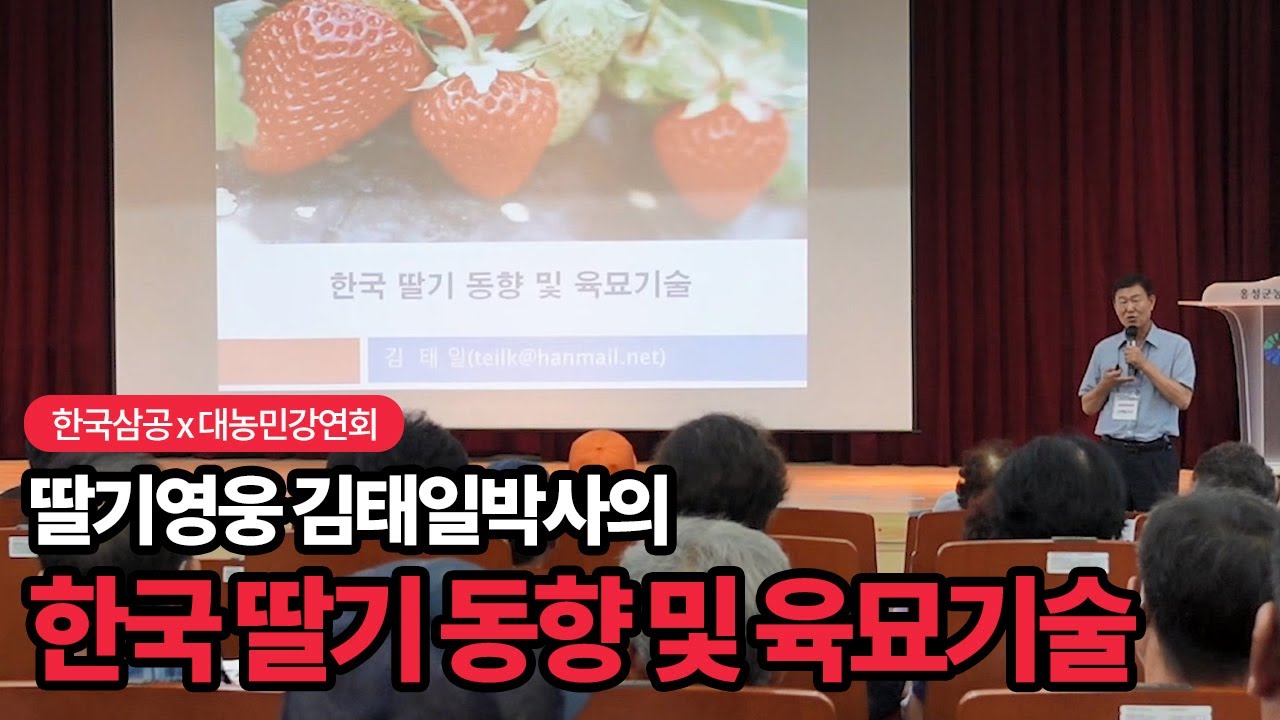 한국 딸기 동향 및 육묘기술! 딸기 박사 김태일의 딸기 강연회