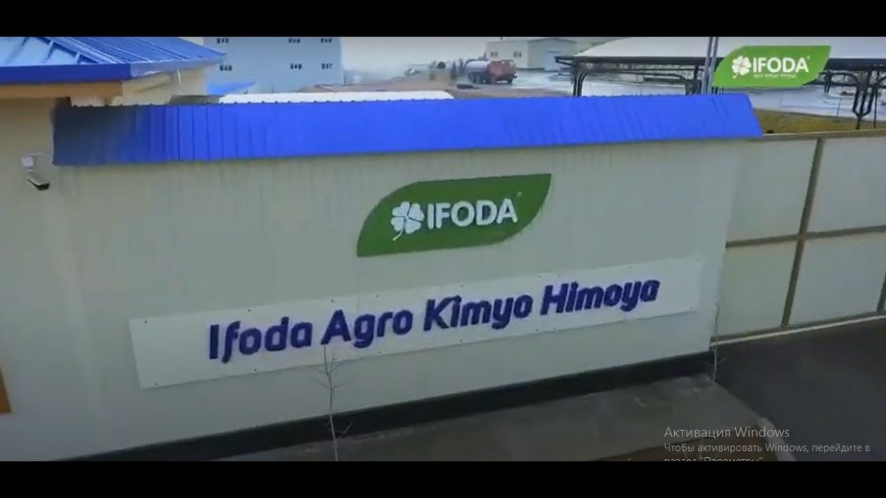 Ifoda