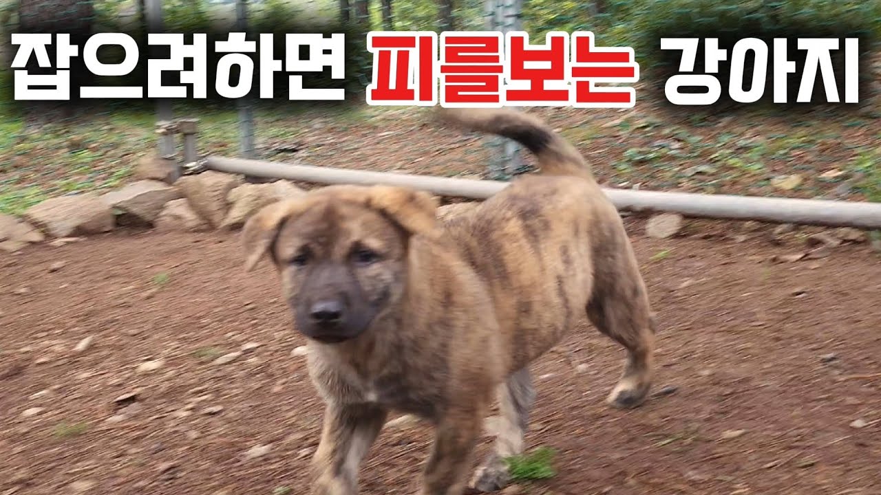 더 늦기 전에...