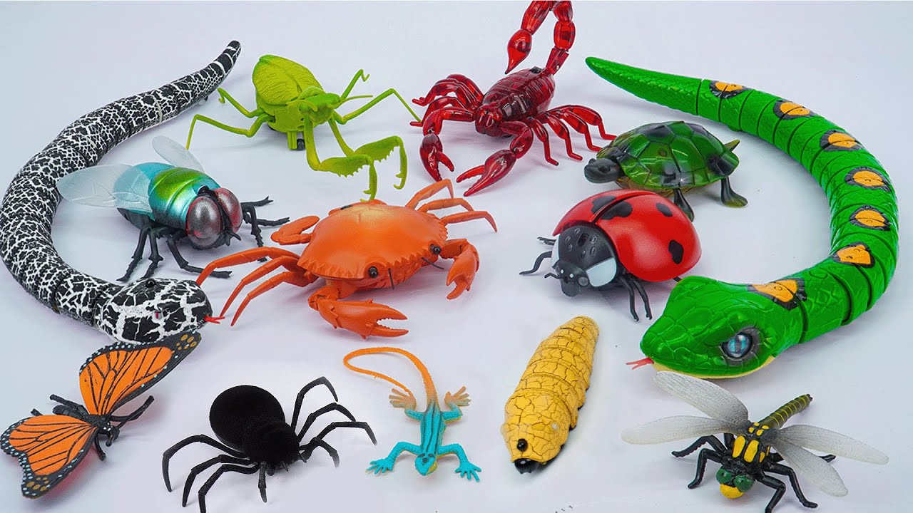 ZURU ROBO ALIVE COLLECTION | UNBOXING Robot Snake, RC Insect, New Robo Alive Giant creepers | ASMR
