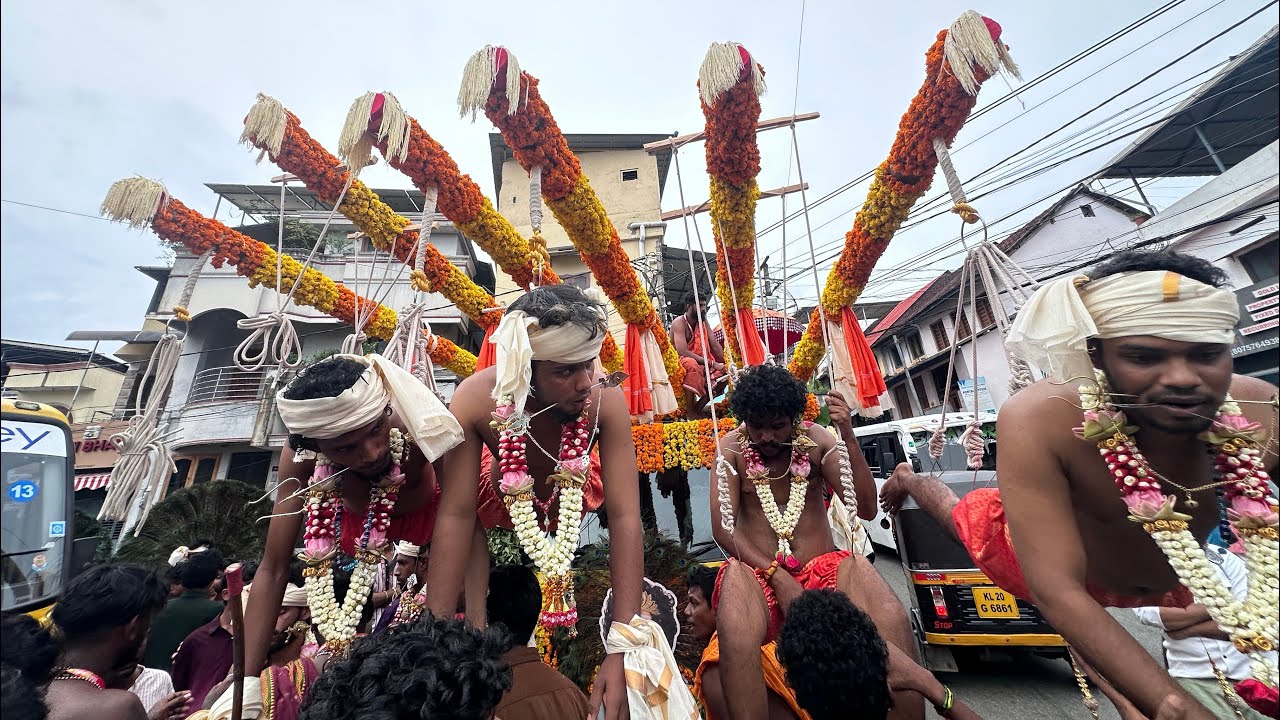 Урожай Конджира Кавади 2025