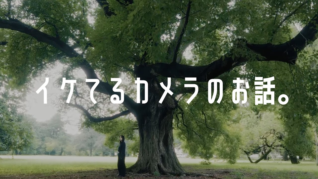 最強のマルチロール機「ライカ SL2-S」で映像一本作ってみた。【前編】