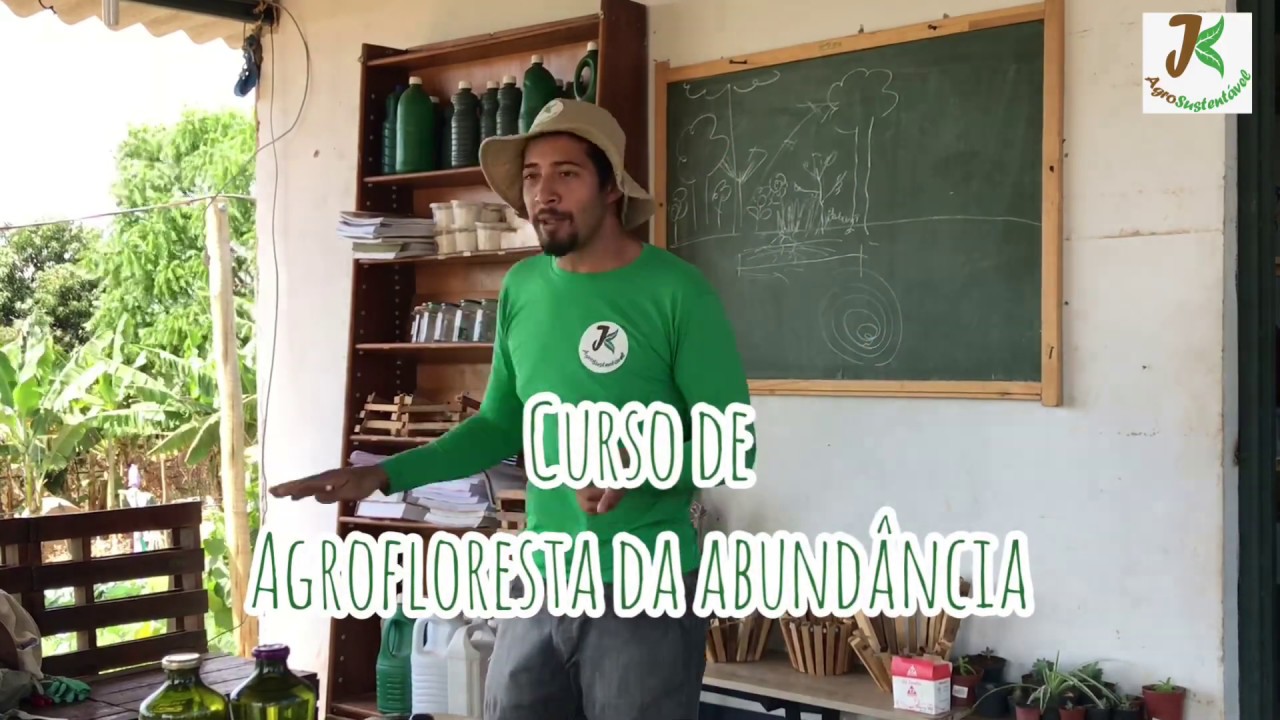 Curso de Agrofloresta da Abund&acirc;ncia | Agrofloresta | Agricultura Sintr&oacute;pica