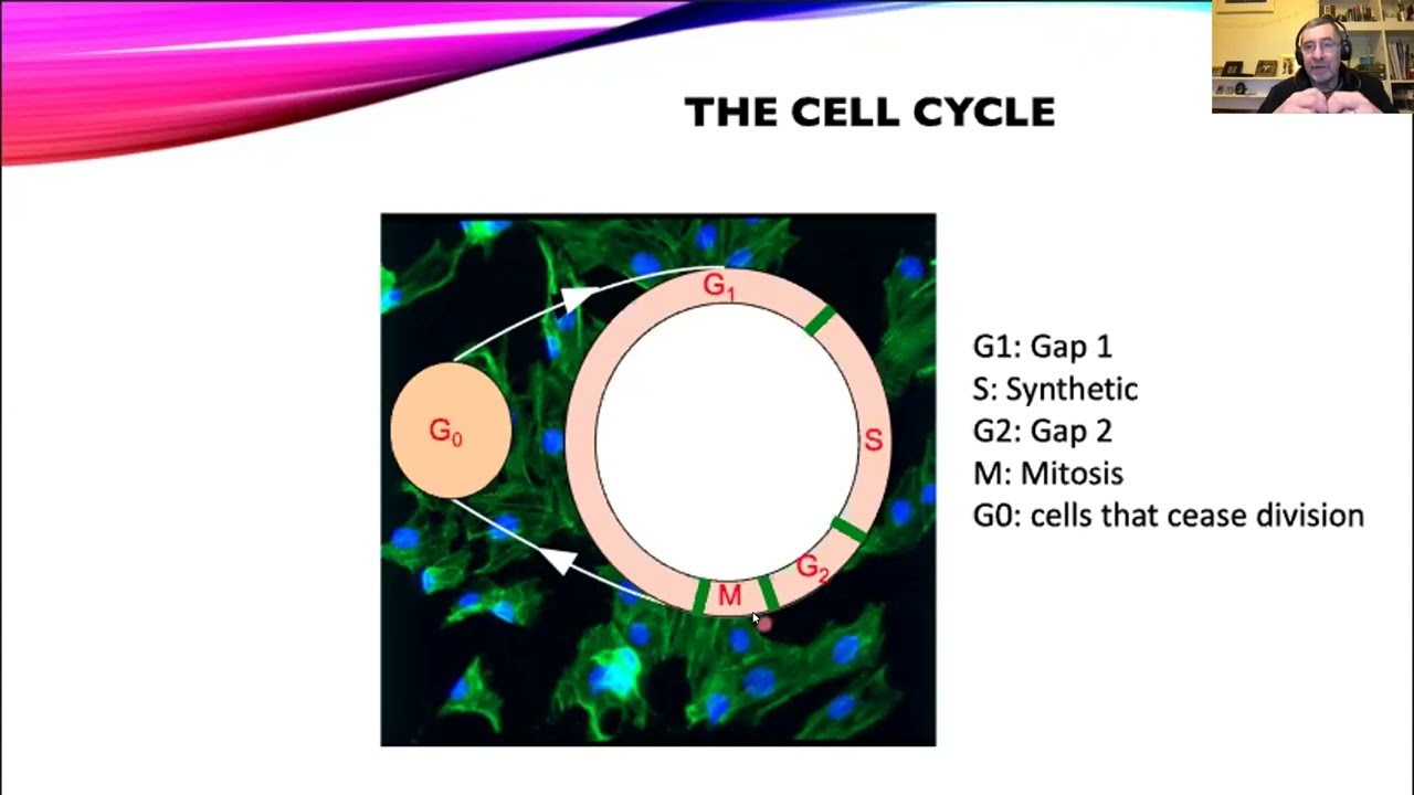 OpenFlow: DNA Analysis by Flow Cytometry