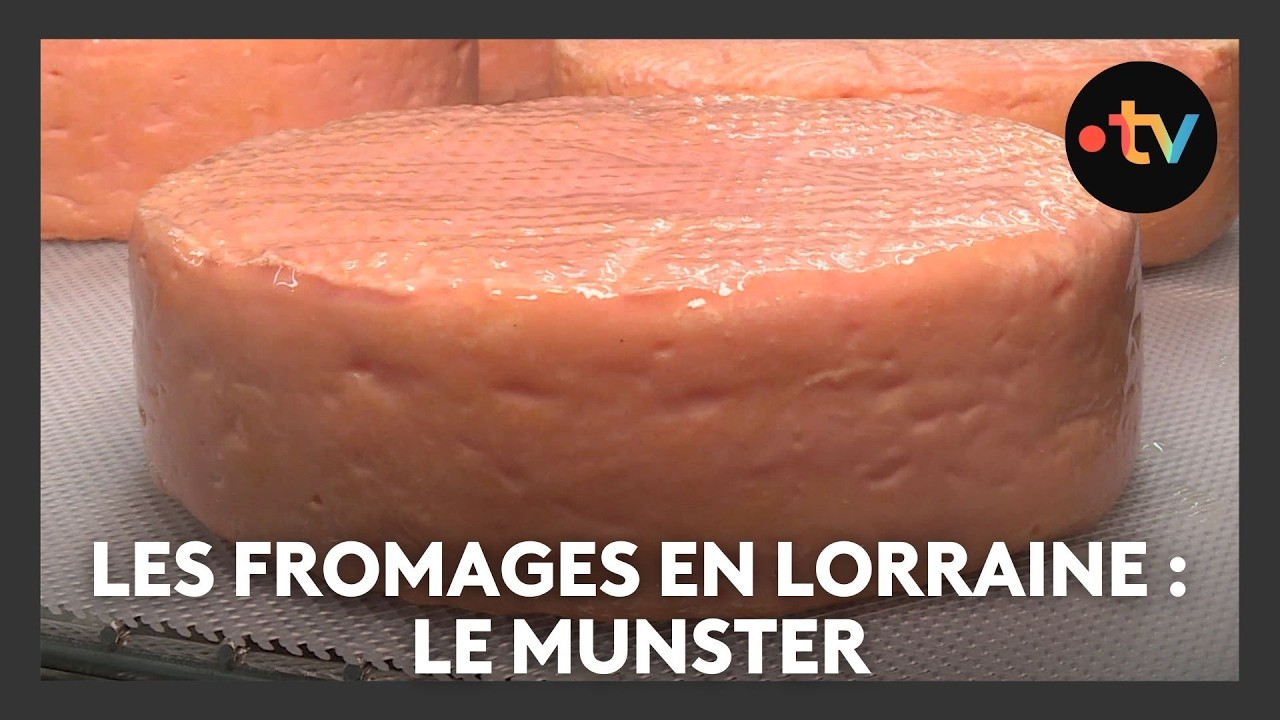 Les fromages en Lorraine : le Munster